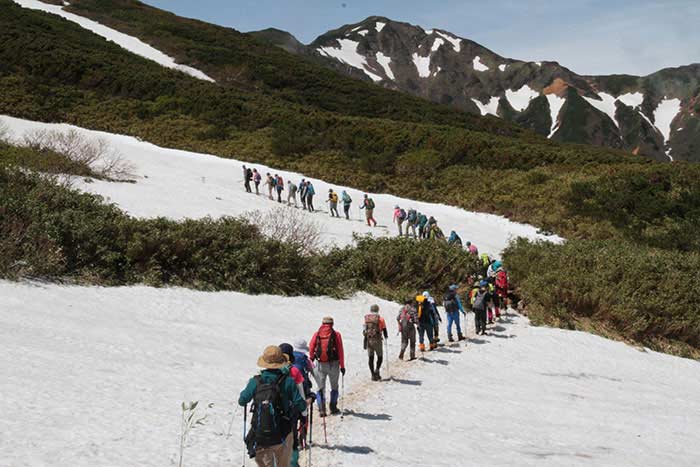 大雪山国立公園 十勝岳山開きの写真