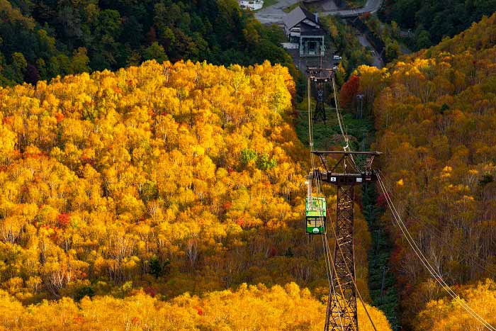 黒岳の紅葉・雲海の写真