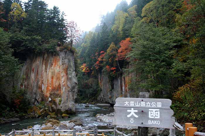 柱状節理と紅葉の写真